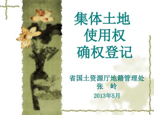 集体土地使用权确权登记.ppt