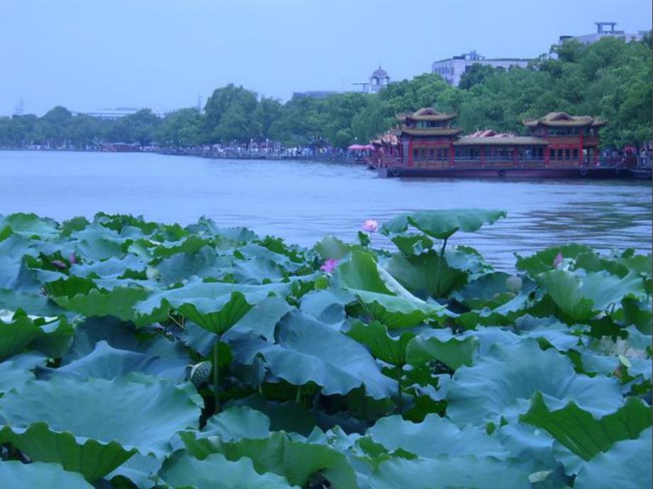 钱塘湖行白居易.ppt_第3页