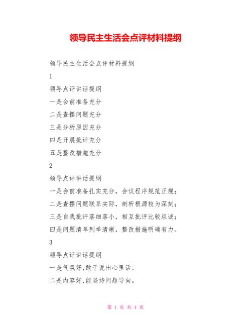 领导民主生活会点评材料提纲.doc