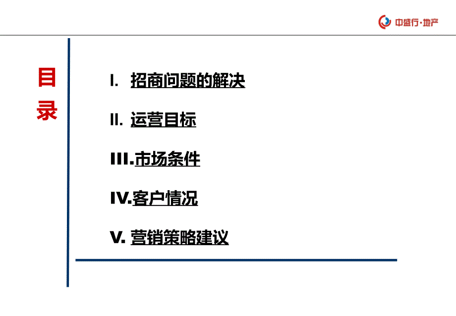 长沙勤诚达新界整体商铺销售方案56页.ppt_第2页