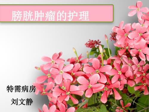 膀胱肿瘤的护理刘文静.ppt