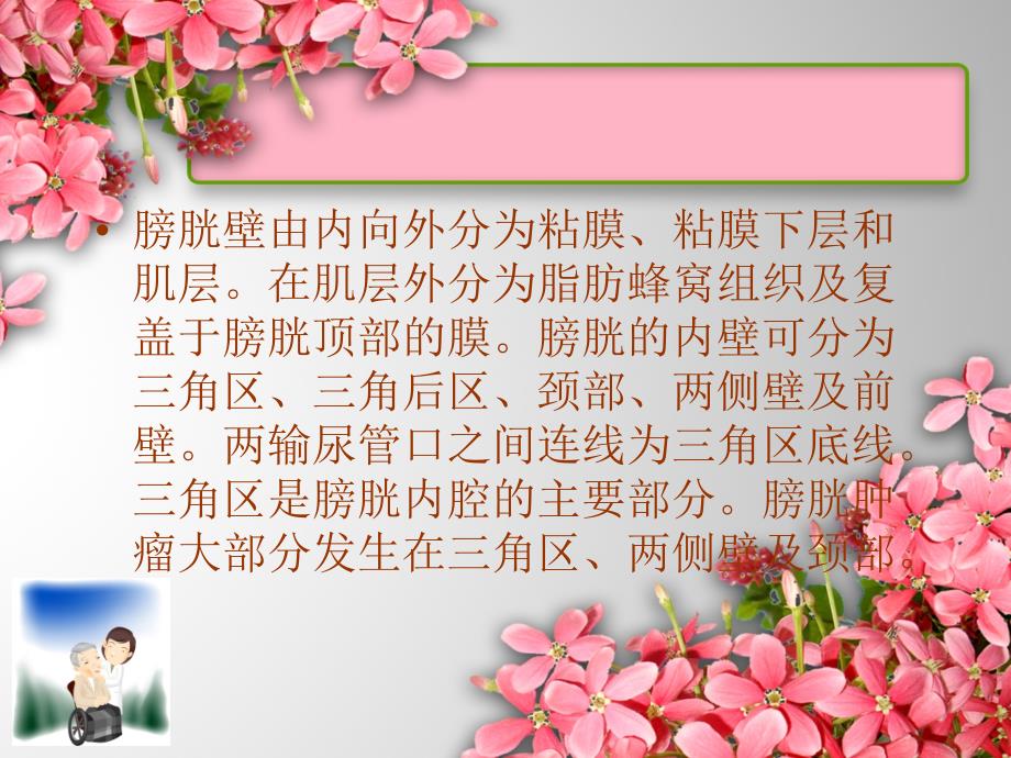 膀胱肿瘤的护理刘文静.ppt_第3页