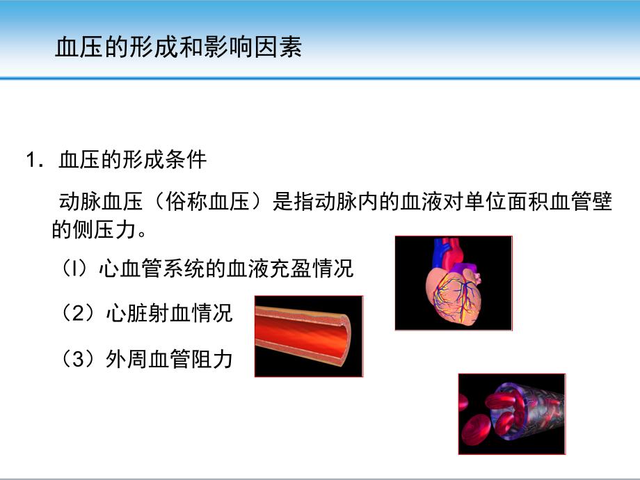 高血压的发病机制ppt课件.pptx_第3页