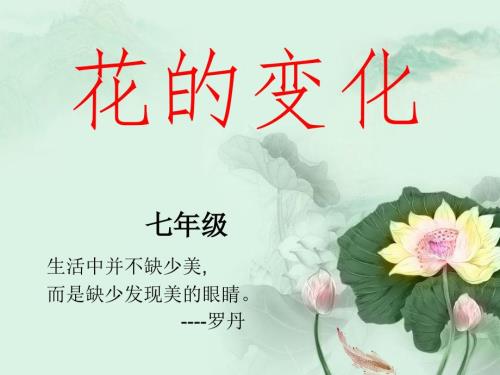 花的变化课件.ppt