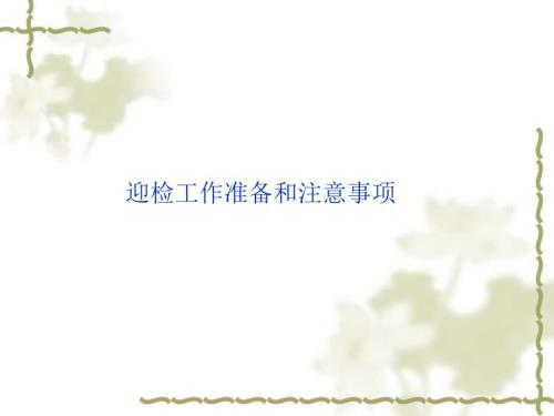 迎检工作准备和应对技巧.ppt