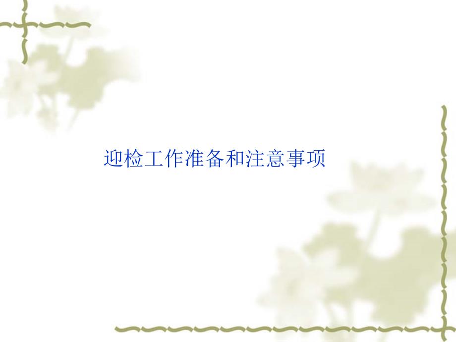 迎检工作准备和应对技巧.ppt_第1页