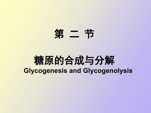 糖原的合成与分解.ppt