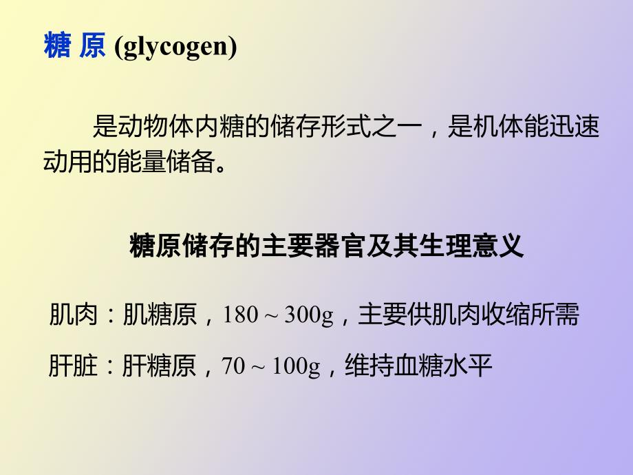 糖原的合成与分解.ppt_第3页