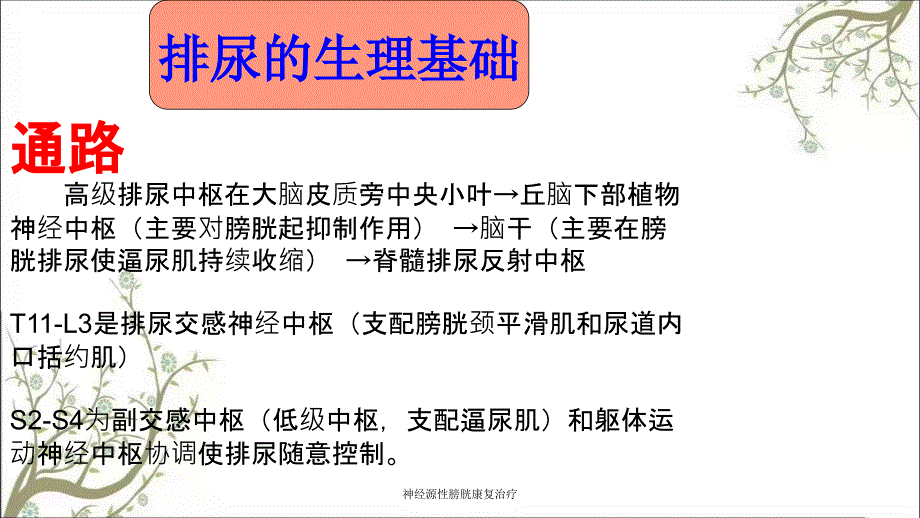 神经源性膀胱康复治疗.ppt_第2页