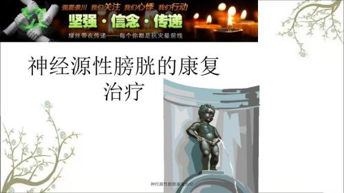 神经源性膀胱康复治疗.ppt