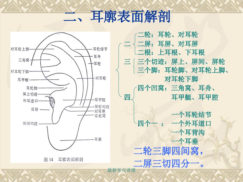 耳穴治疗课件.ppt_第3页