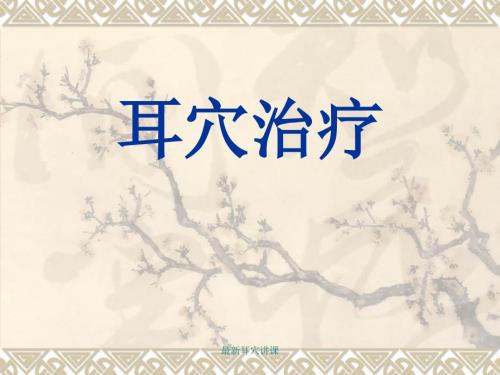耳穴治疗课件.ppt