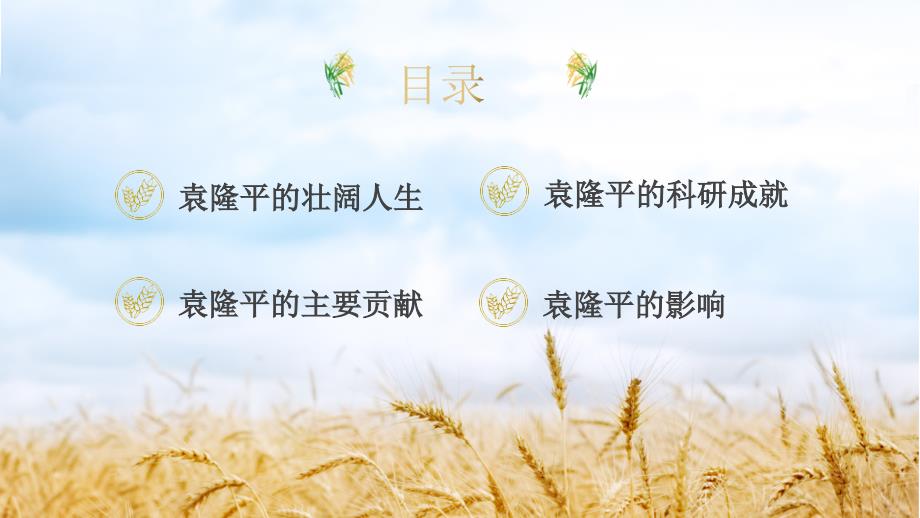 缅怀杂交水稻之父袁隆平生平介绍PPT课件带内容.pptx_第2页