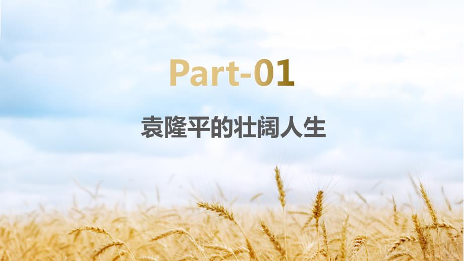缅怀杂交水稻之父袁隆平生平介绍PPT课件带内容.pptx_第3页