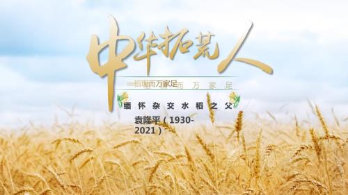 缅怀杂交水稻之父袁隆平生平介绍PPT课件带内容.pptx