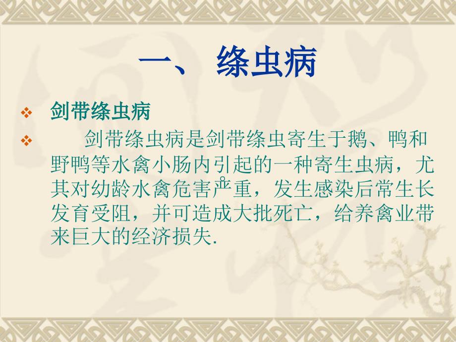 鹅常见寄生病的防治.ppt_第2页