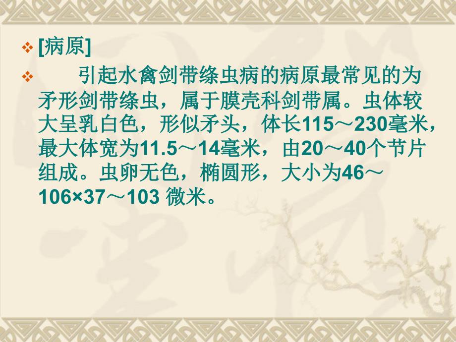 鹅常见寄生病的防治.ppt_第3页