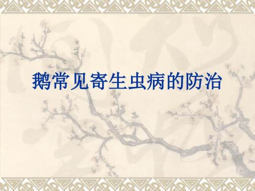 鹅常见寄生病的防治.ppt