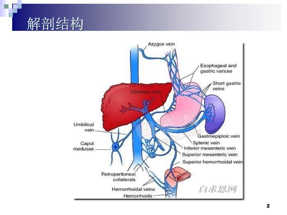 精选课件食管胃底静脉曲张出血的诊治指南解读.ppt_第2页