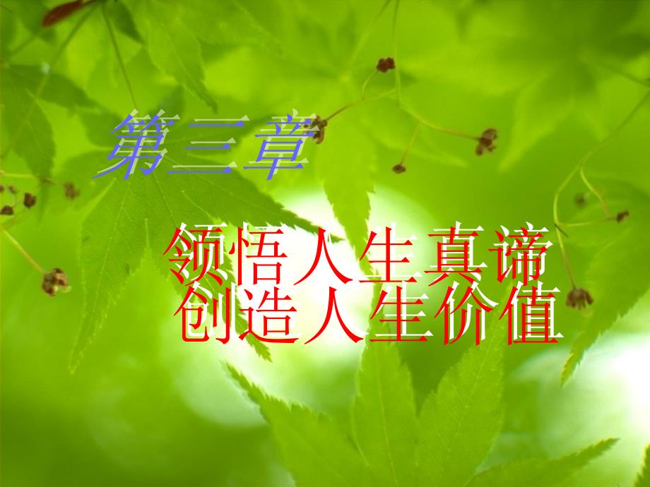 领悟人生真谛PPT课件.ppt_第1页