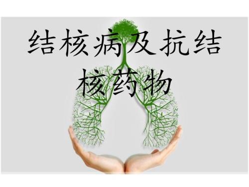 结核病及抗结核药物.ppt