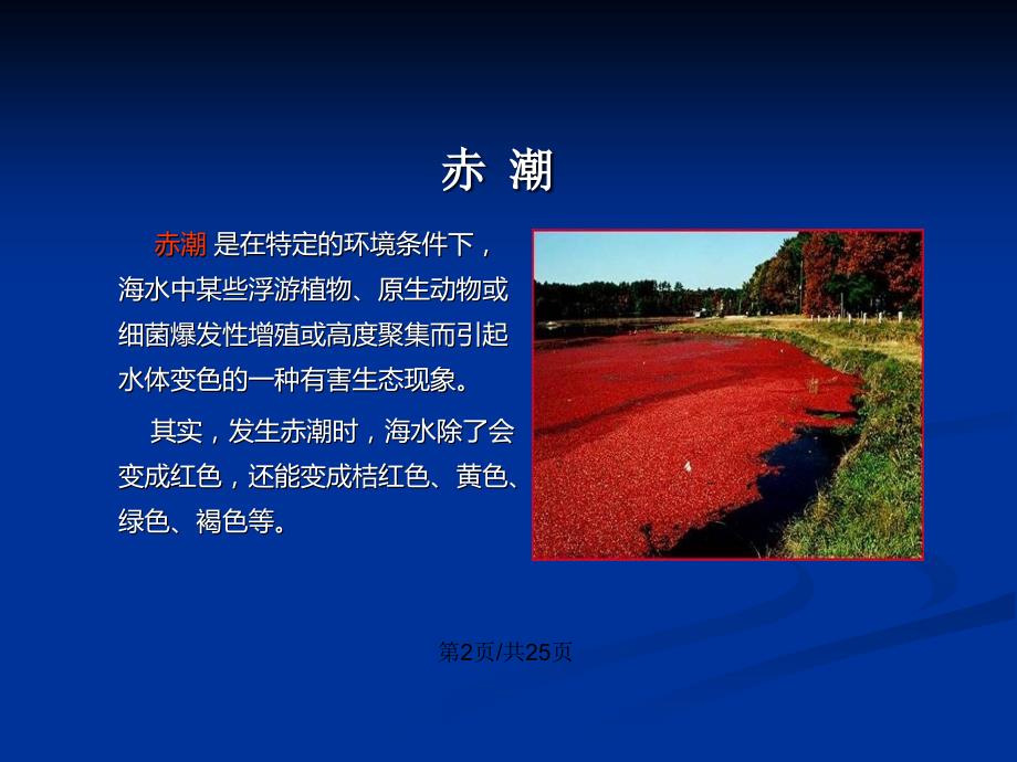 赤潮产生的原因与对策PPT学习教案.pptx_第3页