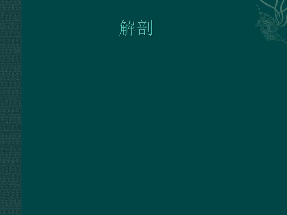腘肌损伤ppt课件.ppt_第2页