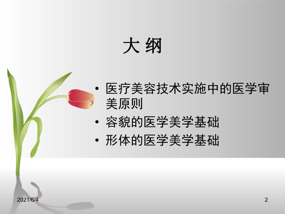 第二章医疗美容技术的医学美学基础.ppt_第2页