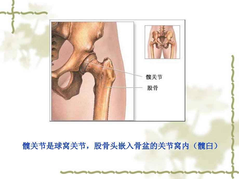 髋关节置换术后康复训练.ppt.ppt_第3页