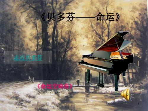 贝多芬命运PPT优秀课件.ppt