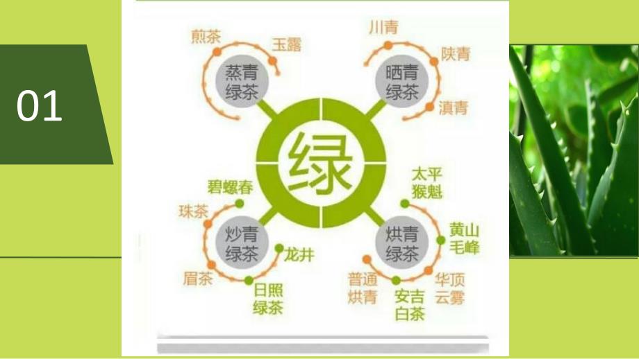茶的分类及贵州茶区.ppt_第2页