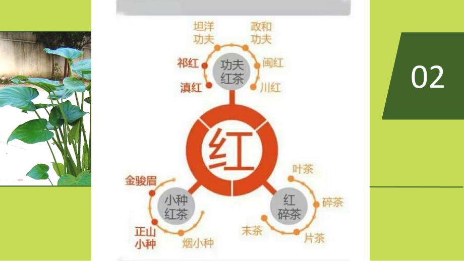 茶的分类及贵州茶区.ppt_第3页