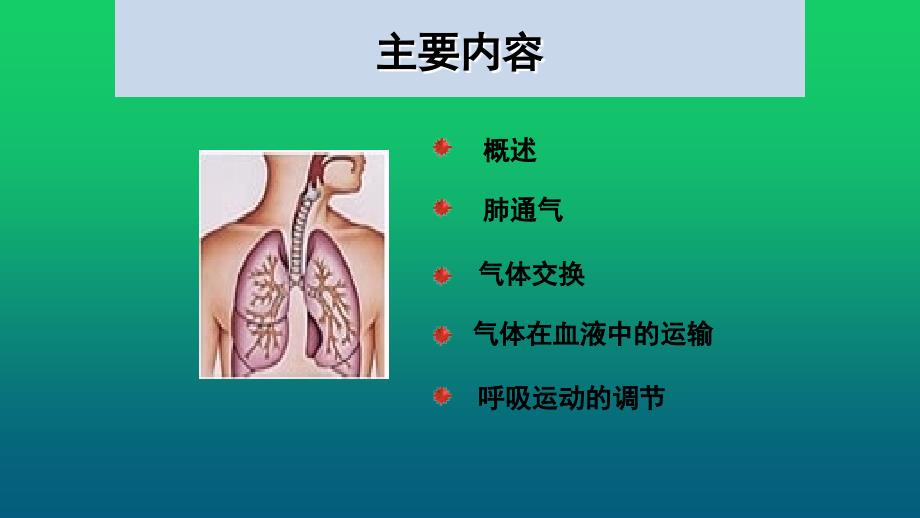 肺的生理功能PPT课件.ppt_第3页