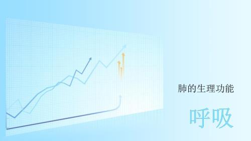 肺的生理功能PPT课件.ppt