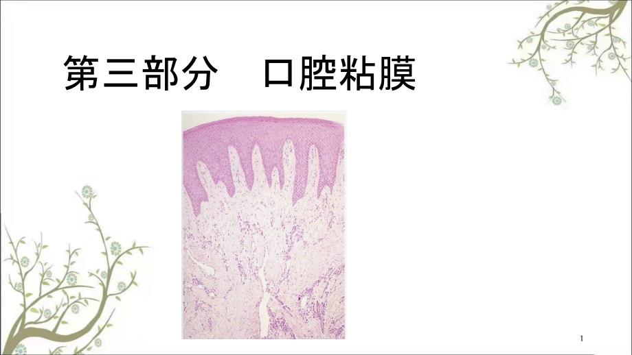 部分口腔粘膜课件.ppt_第1页