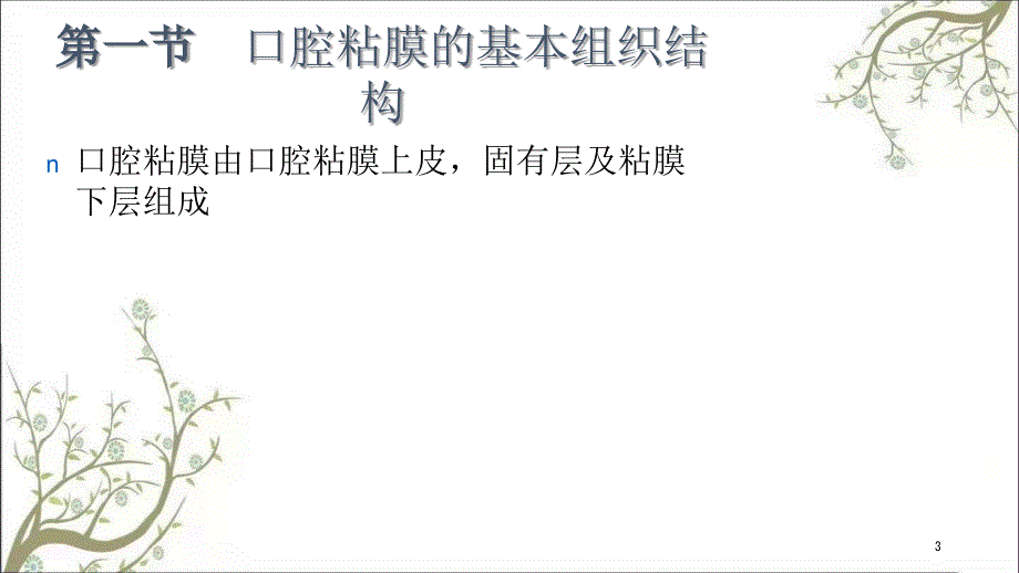 部分口腔粘膜课件.ppt_第3页