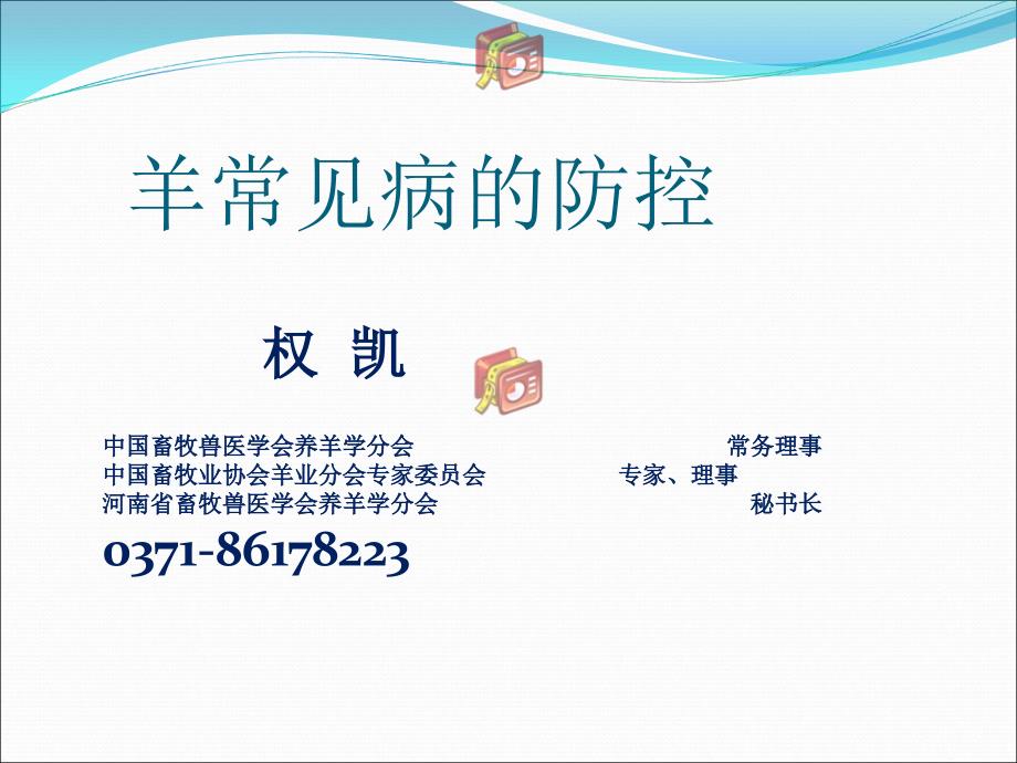 羊常见病防控PPTminimizer.ppt_第1页