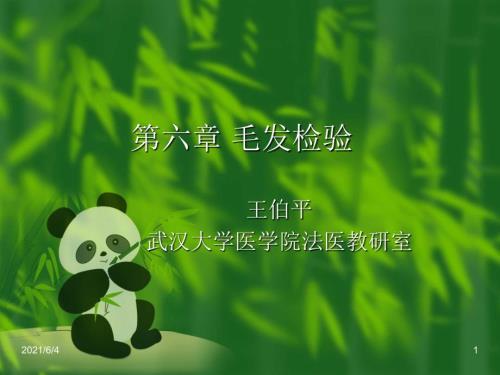 第六章毛发检验.ppt