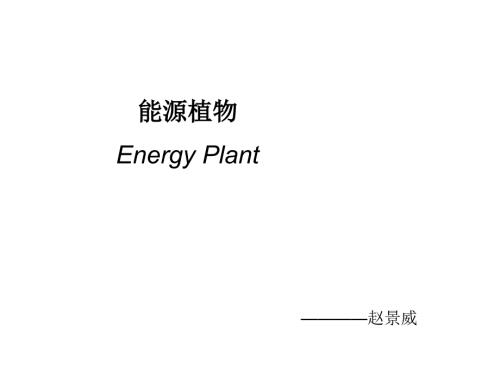 能源植物PPT课件.ppt
