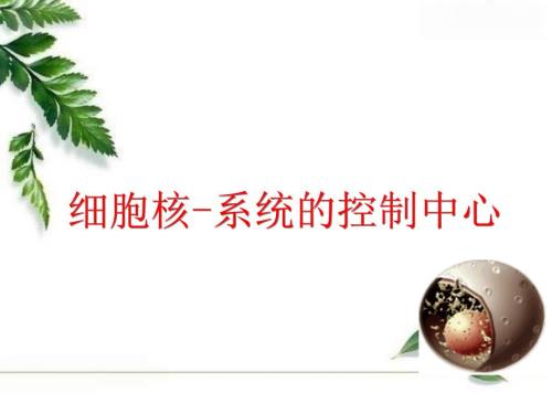 细胞核说课稿PPT课件.ppt