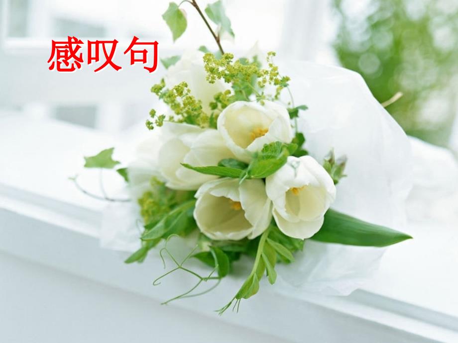 祈使句和感叹句PPT课件.ppt_第1页