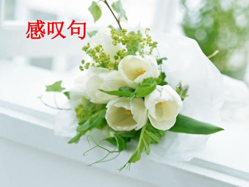 祈使句和感叹句PPT课件.ppt