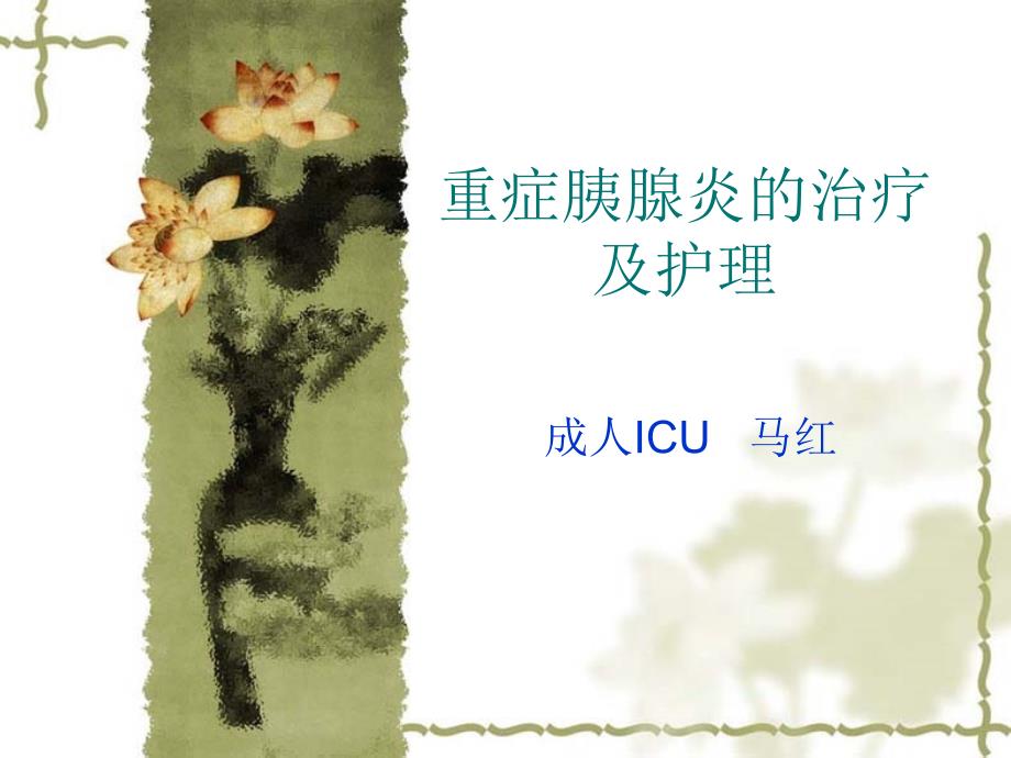 重症胰腺炎的治疗及护理.ppt_第1页