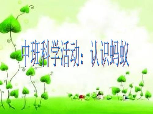 认识蚂蚁PPT课件.ppt