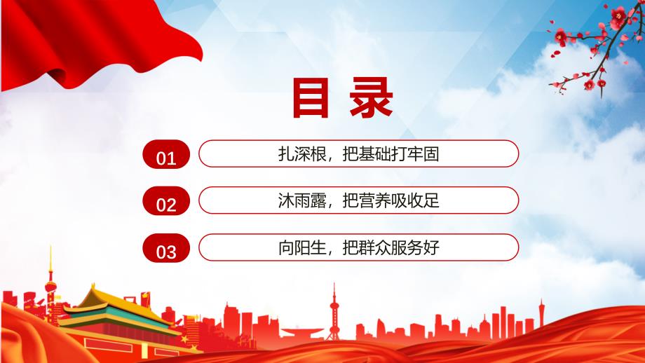 让青之花在基层一线绽放庆祝中国共青团建团100周年PPT专题课件.pptx_第3页