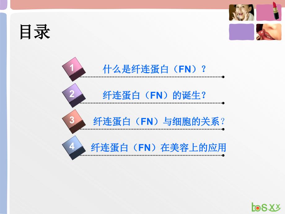 纤连蛋白FN与美容PPT课件.ppt_第2页