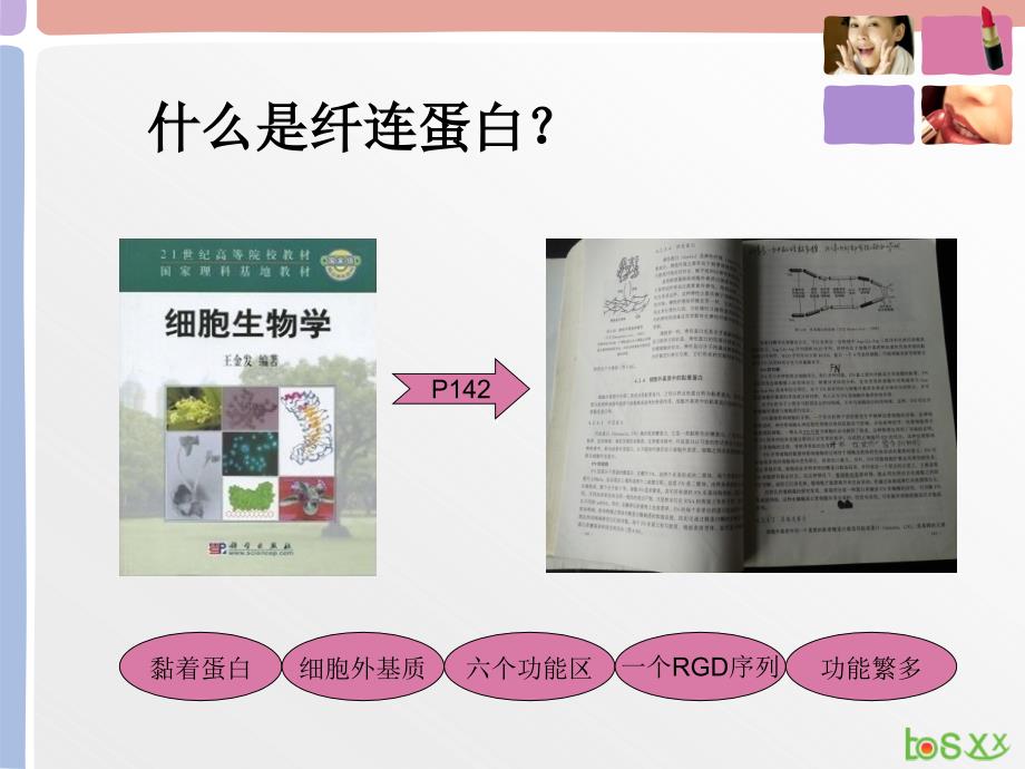 纤连蛋白FN与美容PPT课件.ppt_第3页