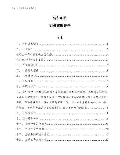 铸件项目财务管理报告范文.docx