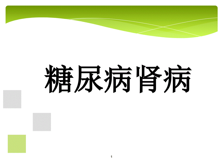 糖尿病肾病PPT演示课件.ppt_第1页