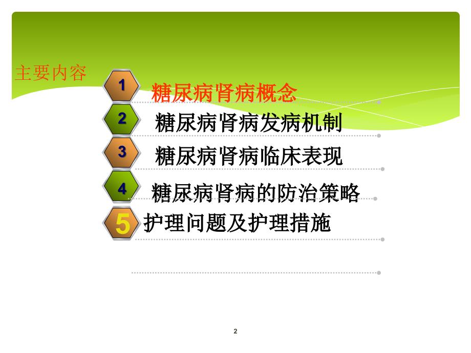 糖尿病肾病PPT演示课件.ppt_第2页